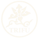 Design fără titlu (27)